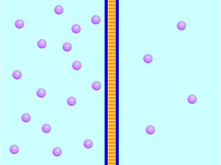 Illustration for article titled What is the speed of smell?